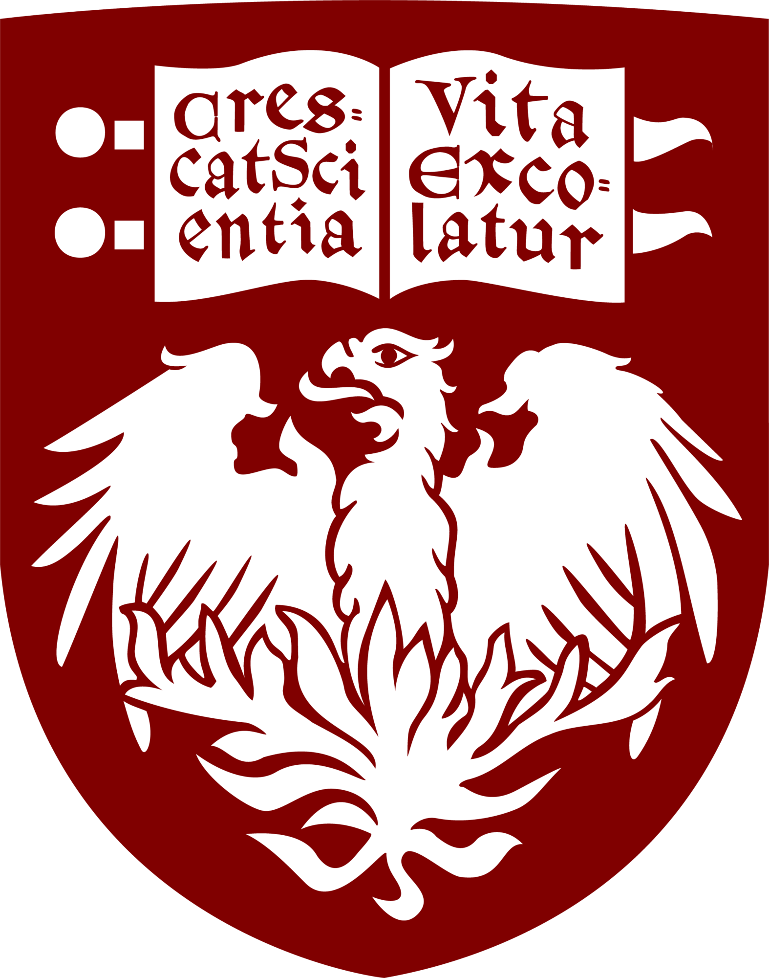 UChicago logo